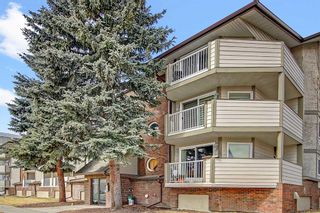 Photo 1: 104 110 20 Avenue NE in Calgary: Tuxedo Park Apartment for sale : MLS®# A2074404