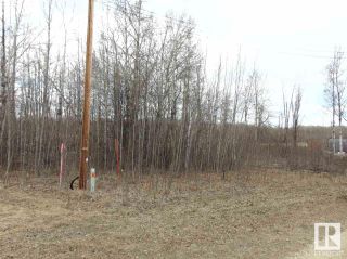 Photo 1: 81 15065 TWP RD 470: Rural Wetaskiwin County Vacant Lot/Land for sale : MLS®# E4287177