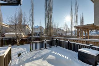 Photo 33: 100 Tuscany Meadows Common NW in Calgary: Tuscany Detached for sale : MLS®# A1186230