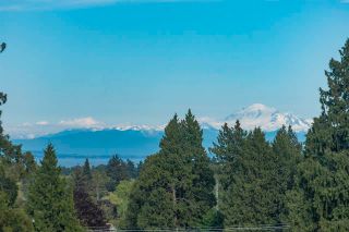Photo 28: 1243 PACIFIC DRIVE in Tsawwassen: English Bluff House for sale : MLS®# R2584527