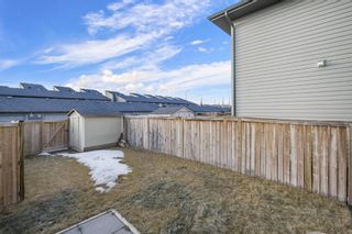 Photo 29: 23 Walden Manor SE in Calgary: Walden Detached for sale : MLS®# A1179933