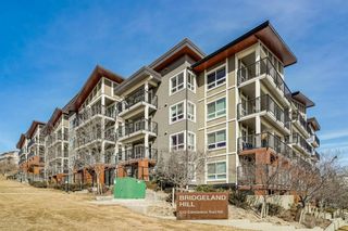 Photo 1: 420 510 Edmonton Trail NE in Calgary: Bridgeland/Riverside Apartment for sale : MLS®# A1226559