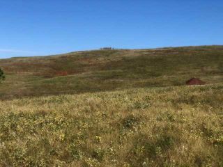 Photo 6: 306 Avenue W: Rural Foothills County Residential Land for sale : MLS®# A2145224