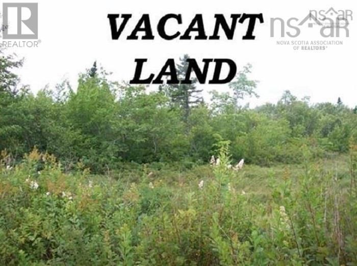 FEATURED LISTING: Lot Lower Branch Road New Canada