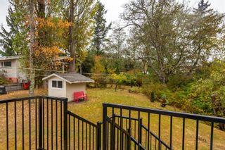 Photo 41: 3934 S Island Hwy in Campbell River: CR Campbell River South House for sale : MLS®# 921159