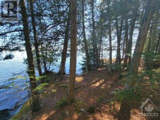 Photo 5: 0000 DONNELLY BAY in White Lake: Vacant Land for sale : MLS®# 1388341
