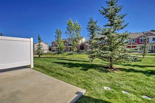 Photo 37: 246 Pantego Lane NW in Calgary: Panorama Hills Row/Townhouse for sale : MLS®# A2079195