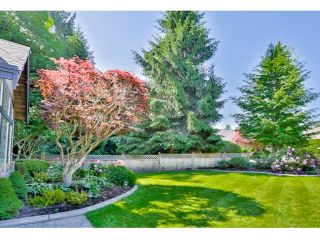Photo 8: 14133 30A Avenue in Surrey: Elgin Chantrell House for sale in "Elgin" (South Surrey White Rock)  : MLS®# R2632604