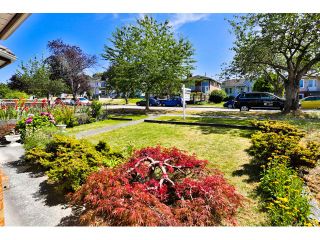 Photo 20: 3167 E 3RD Avenue in Vancouver: Renfrew VE House for sale (Vancouver East)  : MLS®# V1134930