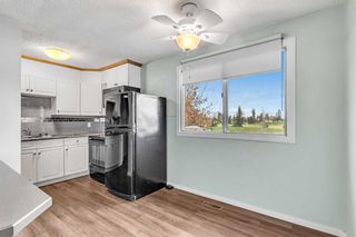 Photo 17: 3928 29A Avenue SE in Calgary: Dover Row/Townhouse for sale : MLS®# A2126446