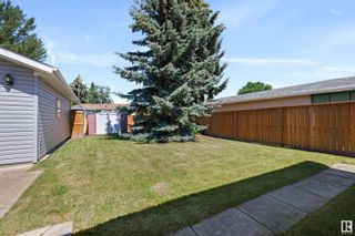 Photo 31: 260 KNOTTWOOD Road N in Edmonton: Zone 29 House for sale : MLS®# E4305780