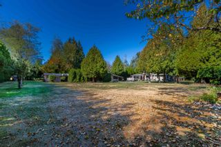 Photo 31: 2139 171 Street in Surrey: Pacific Douglas House for sale (South Surrey White Rock)  : MLS®# R2725395