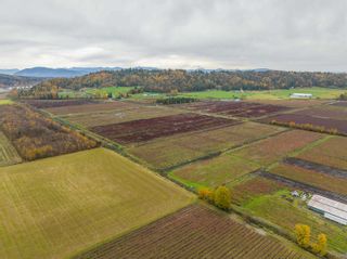 Photo 8: 8201 DYKE Road in Abbotsford: Bradner Agri-Business for sale : MLS®# C8055761