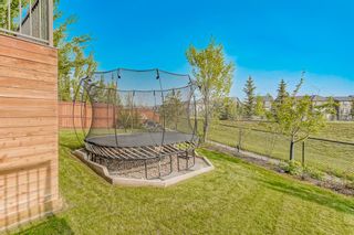 Photo 43: 94 Nolanshire Crescent NW in Calgary: Nolan Hill Detached for sale : MLS®# A2049588