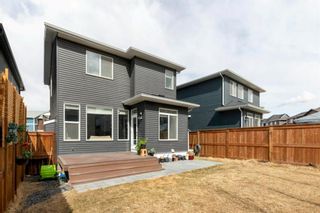 Photo 31: 67 Howse Road NE in Calgary: Livingston Detached for sale : MLS®# A1212841