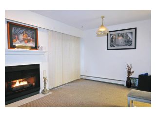 Photo 4: 104 1040 KING ALBERT Avenue in Coquitlam: Central Coquitlam Condo for sale in "BLUE MOUNTAIN TERRACE" : MLS®# V856852