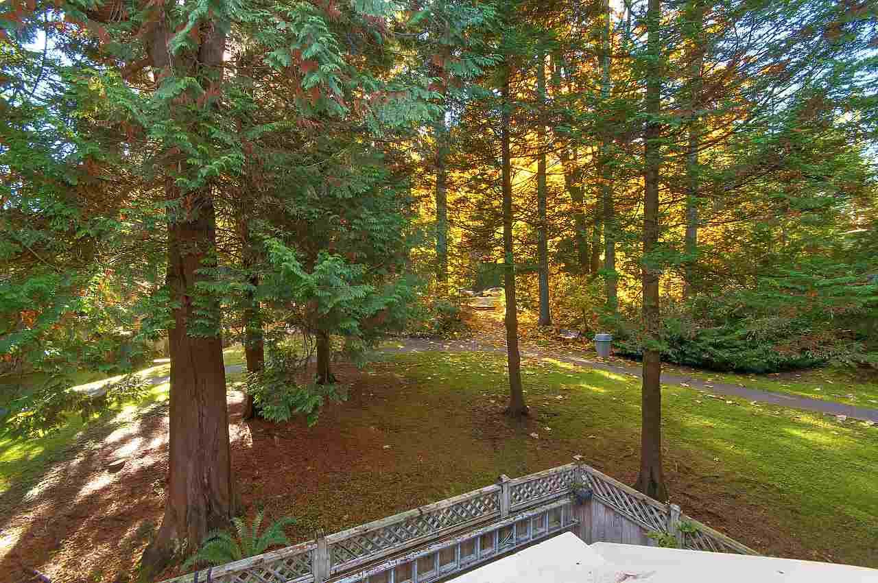 Such a tranquil area - 16 + acres of treed land for your kids to play.