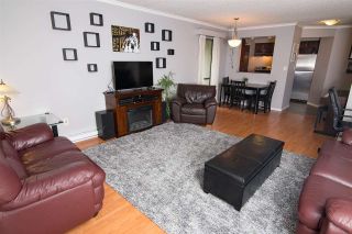 Photo 1: 411 1210 PACIFIC STREET in Coquitlam: North Coquitlam Condo for sale : MLS®# R2116009