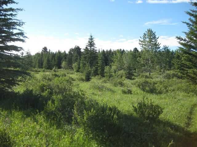 Main Photo: 12 KMS NORTH ON COCHRANE in COCHRANE: Rural Rocky View MD Rural Land for sale : MLS®# C3526638