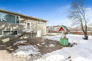 Photo 43: 1314 35 Street SE in Calgary: Albert Park/Radisson Heights Detached for sale : MLS®# A1081075