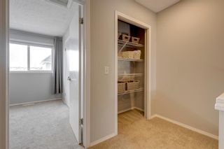 Photo 21: 290 Mckenzie Towne Link SE in Calgary: McKenzie Towne Row/Townhouse for sale : MLS®# A1192078