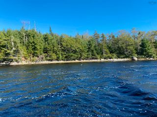 Photo 6: 2.8+/- acres Sinclair Lake Road in Gaspereaux Lake: 303-Guysborough County Vacant Land for sale (Highland Region)  : MLS®# 202128876