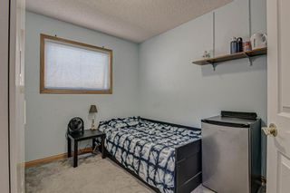 Photo 21: 143 Edgeridge Close NW in Calgary: Edgemont Detached for sale : MLS®# A1133048