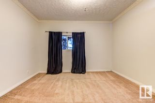 Photo 29: 12330 75 Street in Edmonton: Zone 05 House for sale : MLS®# E4314789