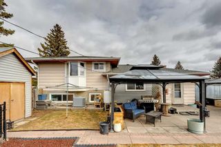 Photo 43: 115 Queensland Circle SE in Calgary: Queensland Detached for sale : MLS®# A2112471