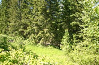 Photo 28: 4827 Goodwin Road in Eagle Bay: Vacant Land for sale : MLS®# 10116745