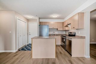 Photo 9: 209 1717 60 Street SE in Calgary: Red Carpet Apartment for sale : MLS®# A2133379