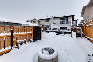 Photo 33: 136 Templeby Place NE in Calgary: Temple Detached for sale : MLS®# A2014762
