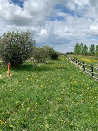 Photo 10: 62 ac Corner of Hwy 552 306 Ave West (Strathcona  School/Polo Club): Rural Foothills County Residential Land for sale : MLS®# A1227910