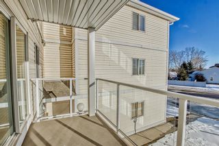Photo 20: 205 309 Woodside Drive NW: Airdrie Apartment for sale : MLS®# A2012909