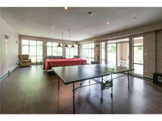Photo 18: # 205 2551 PARKVIEW LN in Port Coquitlam: Central Pt Coquitlam Condo for sale : MLS®# V1040597