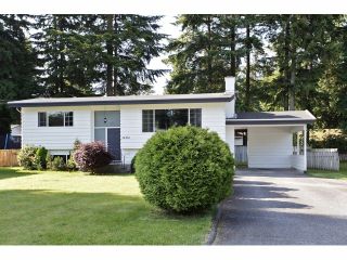 Photo 18: 34304 REDWOOD Avenue in Abbotsford: Central Abbotsford House for sale : MLS®# F1413819