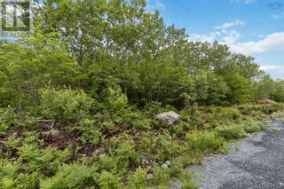 Photo 18: Lot 6 Maple Ridge Drive in White Point: Vacant Land for sale : MLS®# 202315187