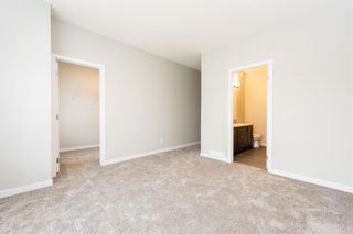 Photo 26: 163 homestead Drive NE in Calgary: C-686 Detached for sale : MLS®# A2050338