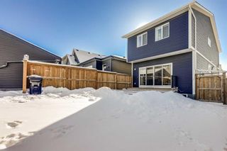 Photo 39: 161 Lucas Crescent NW in Calgary: Livingston Detached for sale : MLS®# A2113405