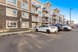 Photo 27: 5110 302 Skyview Ranch Drive NE in Calgary: Skyview Ranch Apartment for sale : MLS®# A1161247