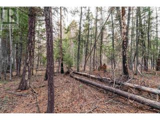 Photo 9: LOT 19 MONEEYAW ROAD in 108 Mile Ranch: Vacant Land for sale : MLS®# R2833899