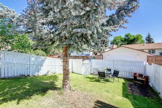 Photo 24: 110 Berwick Way NW in Calgary: Beddington Heights Semi Detached for sale : MLS®# A1241064