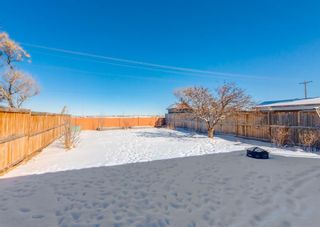 Photo 48: 156 Beddington Circle NE in Calgary: Beddington Heights Detached for sale : MLS®# A1206246