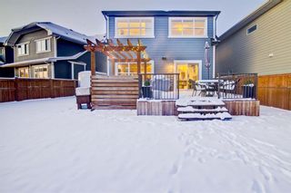 Photo 38: 127 Masters Rise SE in Calgary: Mahogany Detached for sale : MLS®# A1186669