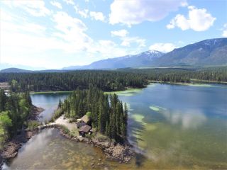 Photo 59: 3680 RAD ROAD in Invermere: House for sale : MLS®# 2474494
