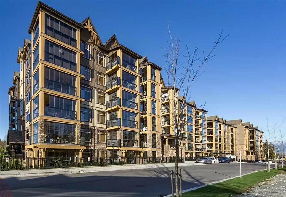 Main Photo: 503 8157 207 Street in Langley: Willoughby Heights Condo for sale in "York Creek Parkside II (Building B)" : MLS®# R2559343