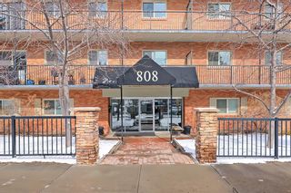 Photo 41: 418 808 Royal Avenue SW in Calgary: Lower Mount Royal Apartment for sale : MLS®# A2035156