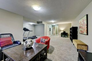 Photo 27: 25B Tamarac Crescent SW in Calgary: Spruce Cliff Detached for sale : MLS®# A1040184