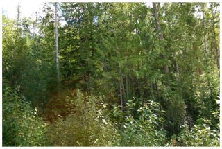 Photo 32:  in Eagle Bay: Vacant Land for sale : MLS®# 10105920