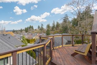 Photo 53: 3827 South Valley Dr in Saanich: SW Strawberry Vale House for sale (Saanich West)  : MLS®# 937675